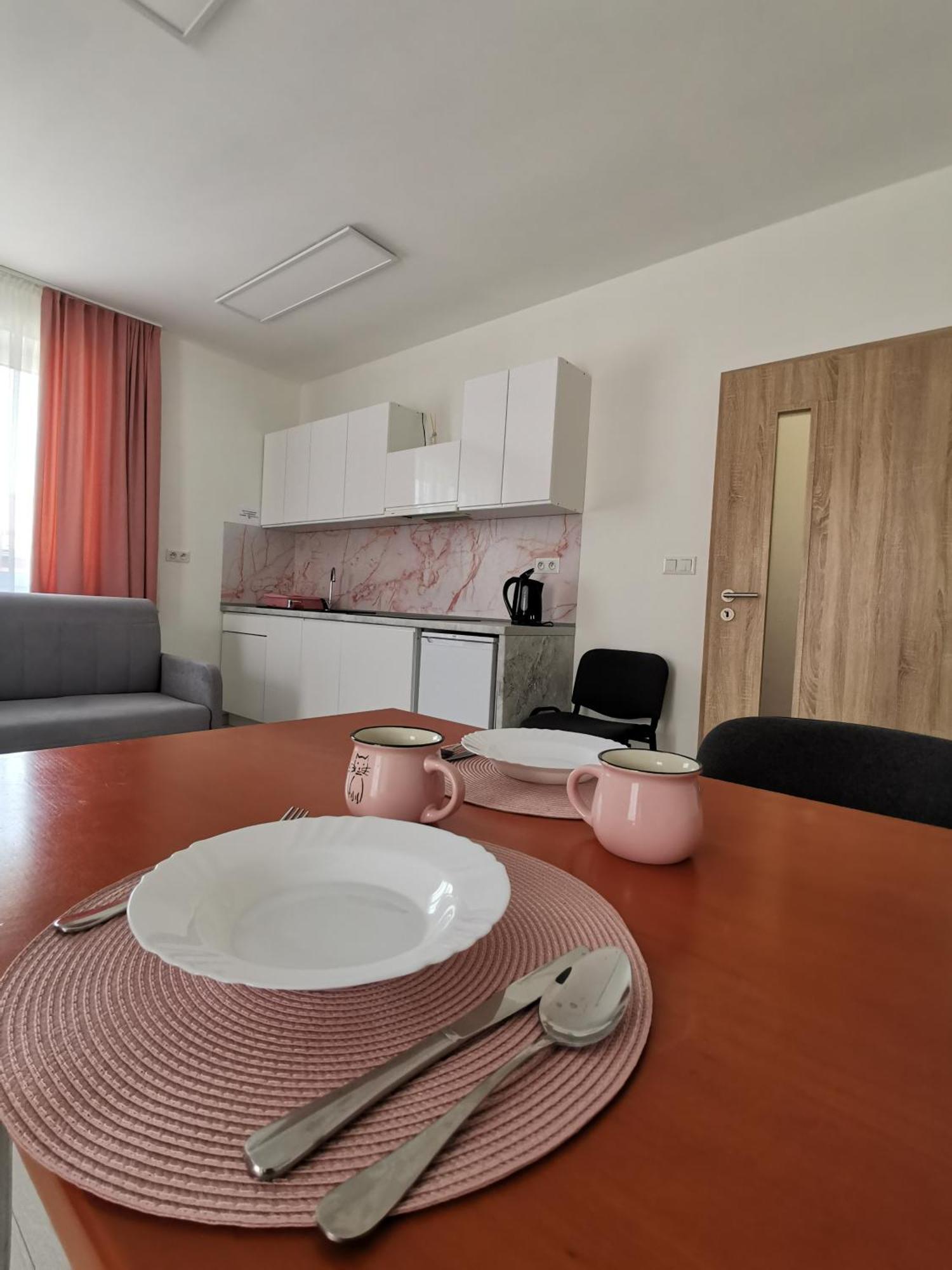 Comenius Apartments - Apartmany Na Rohu 斯维德尼克 外观 照片